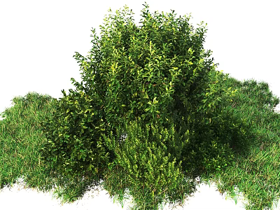 Modern shrubs 3d model Modern shrubs 3d model