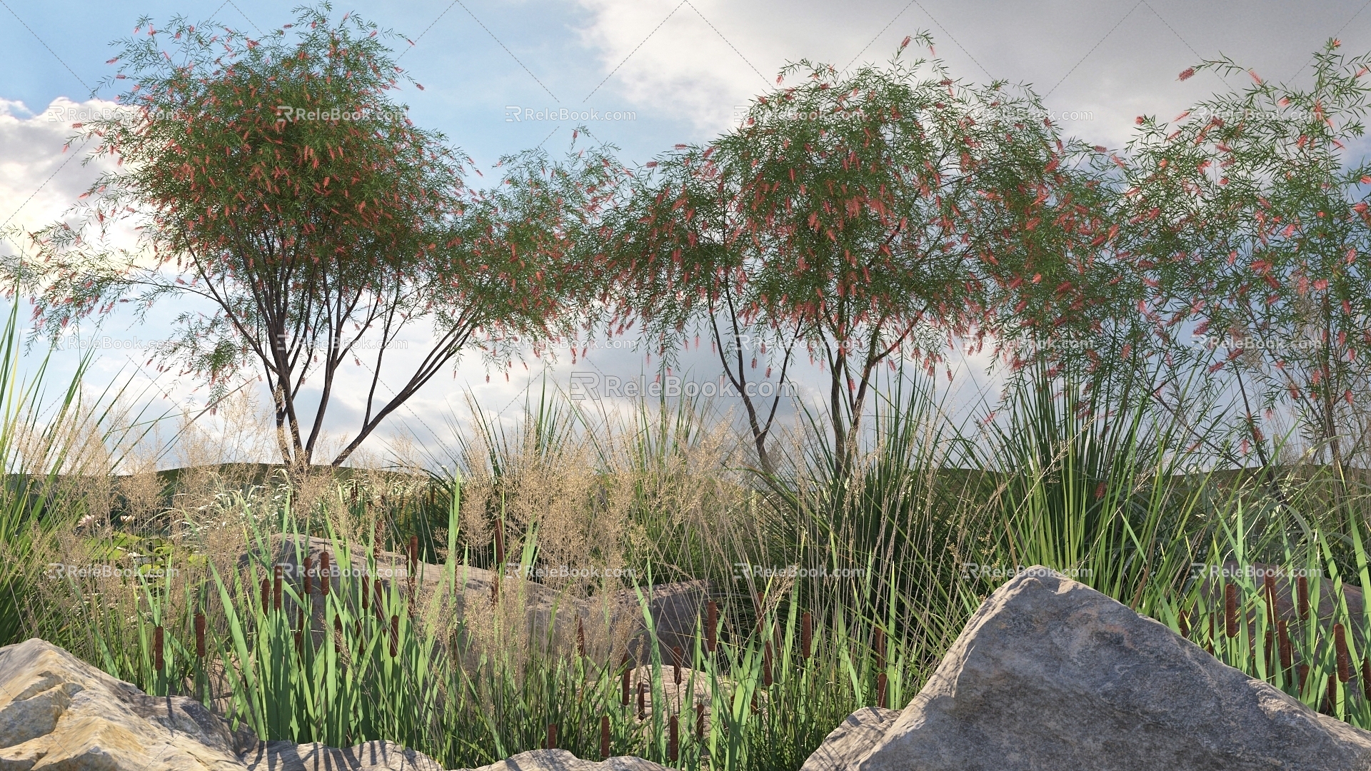 Modern Tree Plants 3d model