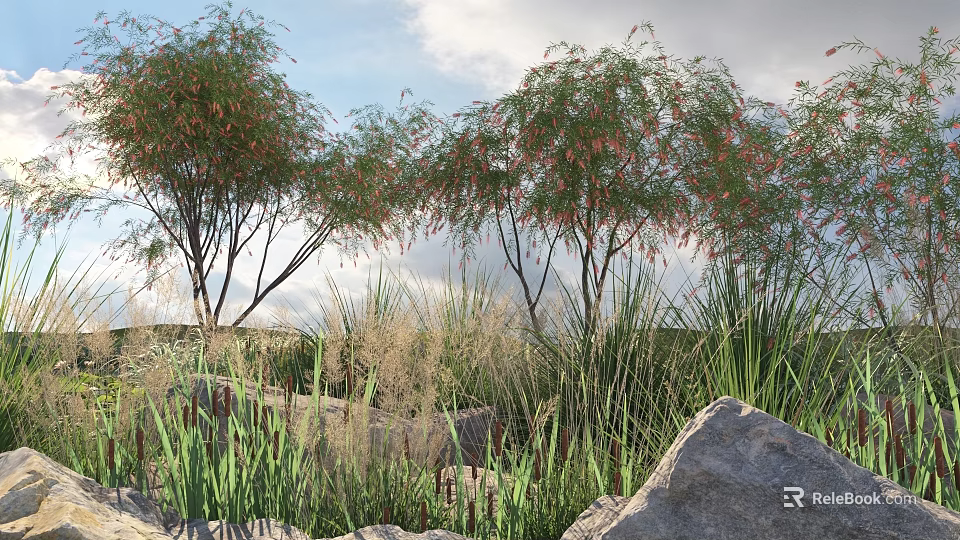 Trees with drooping branches red flowers rocks tall grass reeds under sky and clouds 3d model 