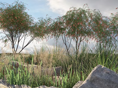 Trees with drooping branches red flowers rocks tall grass reeds under sky and clouds 3d model