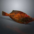 Vibrant Red Orange Flat Fish With Green Hues On Dark Reflective Background