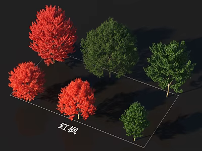 Red Maple Arbor Varieties With Green And Red Foliage For Garden Landscaping Projects 3d model
