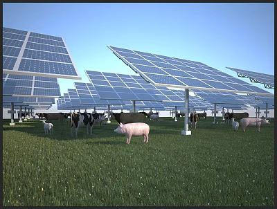 Solar Panels Power Daily Electrical Appliances in Farm with Cows and Pigs 3d model