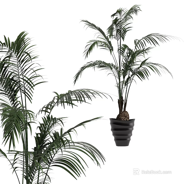 Lush Potted Palm Bonsai Plant With Black Layered Pot And Green Foliage 3d model 