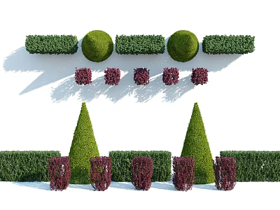 Green and Purple Shrubs with Geometric Shapes Neatly Arranged in Garden 3d model