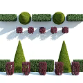 Green and Purple Shrubs with Geometric Shapes Neatly Arranged in Garden