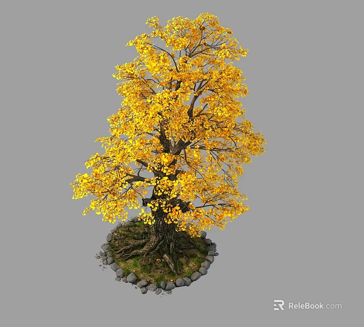 Yellow Leaved Tree With Exposed Roots And Stones Around Base 3d model 