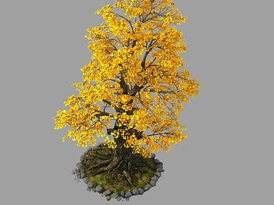 Yellow Leaved Tree With Exposed Roots And Stones Around Base 3d model