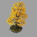 Yellow Leaved Tree With Exposed Roots And Stones Around Base 3d model