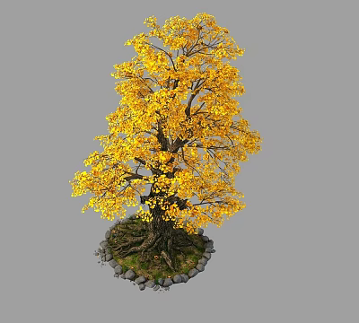 Yellow Leaved Tree With Exposed Roots And Stones Around Base 3d model