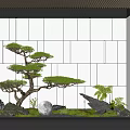Indoor Zen Landscape Design With Bonsai Pine Tree Glowing Moon Rocks Moss And Gray Wall 3d model