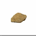 Ancient Fossil Specimen With Textured Brownish Yellow Surface And Black Squares