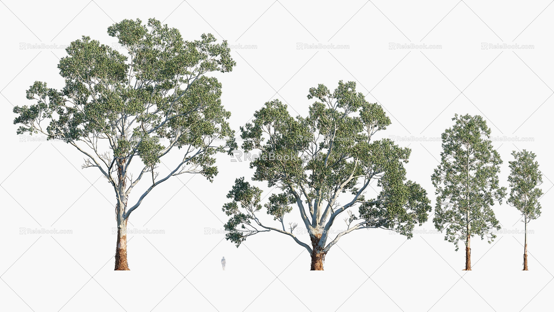 Plants Trees Trees Landscape Trees Arbor 3d model