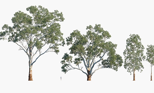 Plants Trees Landscape Trees Arbor 3d model