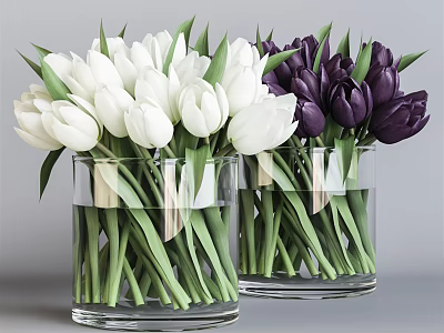 Transparent Glass Vases with White and Purple Tulips in Water on Gray Background 3d model