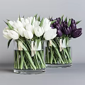 Transparent Glass Vases with White and Purple Tulips in Water on Gray Background