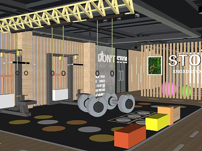 Modern Fitness Gym Interior Design With Hanging Rings Dumbbells And Colored Floor Mats 3d model
