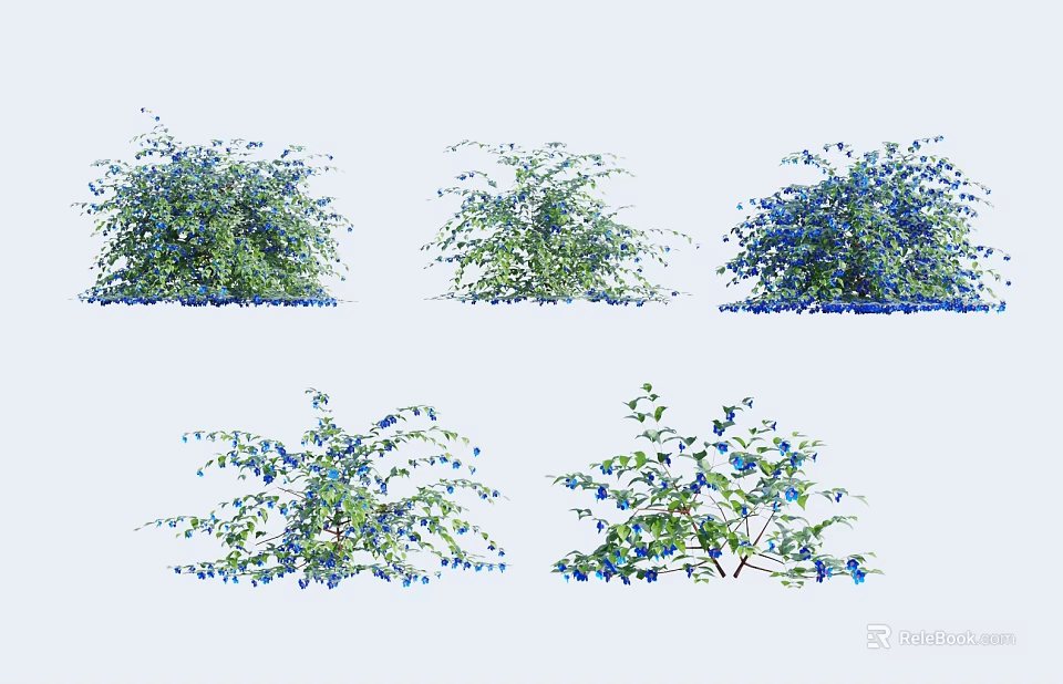 Various Types Of Ornamental Shrubs With Blue Flowers And Green Foliage 3d model 