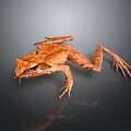Frog Poison Frog Game Frog Reptile Cold Blooded Animal Reptile 3d model