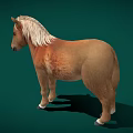 Isolated Brown Horse With White Mane Standing On Green Background 3d model