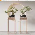 Two Bonsai Plants On Wooden Stands With Round Mirror In Minimalist Interior