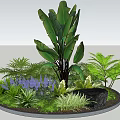 Vibrant Flower Plant Arrangement In Circular Bed With Large Leaves Purple Blooms Ferns Green Grass