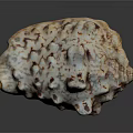 Artisan Handcrafted Shell Like Sculpture Carving With White Brown Speckled Texture Design