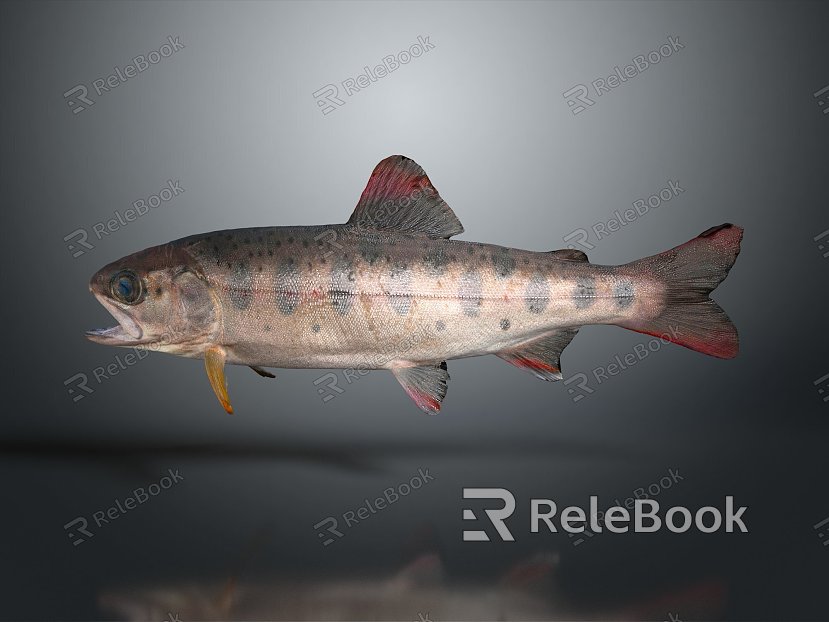 Fish Freshwater Fish Sea Fish Animal Game Animal Cartoon Animal Realistic Animal model