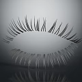 Long Thin Shiny False Eyelashes For Eye With Gray Gradient Background And Reflection 3d model