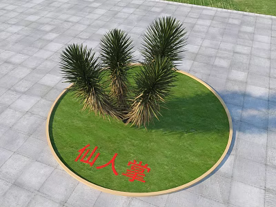 Green Cactus Plants Growing In Circular Grassy Area On Paved Tiles Ground 3d model