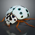 White Ladybug With Black Spots Orange Legs And Black And White Patterned Head 3d model