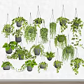 Beautiful Hanging Planters with Various Green Plants Mounted on White Wall for Home Decor