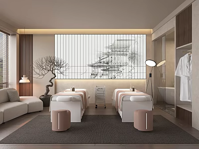 Beauty Salon Interior Design With Massage Beds Sofa Screen And Floor Lamp 3d model