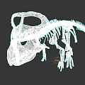 Prehistoric Reptile Dinosaur Skeleton Fossil With Detailed Bone Structure