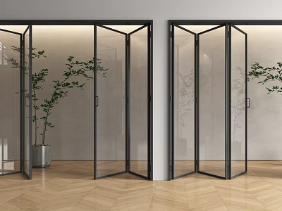 Modern Glass Folding Doors With Black Frame In Interior With Green Plants And Wooden Floor 3d model