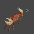 Appetizing Red Steamed Crab With Large White Claws And Colorful Cube
