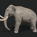 Realistic Standing Mammoth Model With Long Curved Tusks And Gray Skin