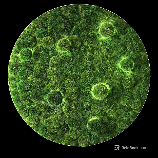 Microscopic View Of Green Moss Showing Dense Natural Texture And Circular Structures 3d model 