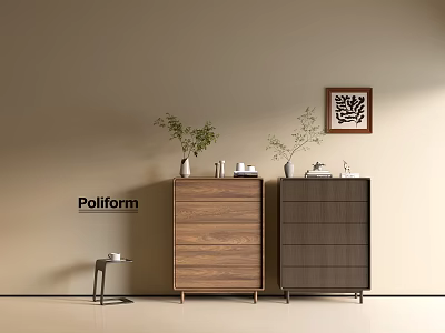 Wooden Entryway Cabinet and Side Cabinet with Potted Plants Wall Art and Decorative Items 3d model