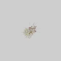 Transparent Glass Vase With White And Pink Flowers And Decorative Branches