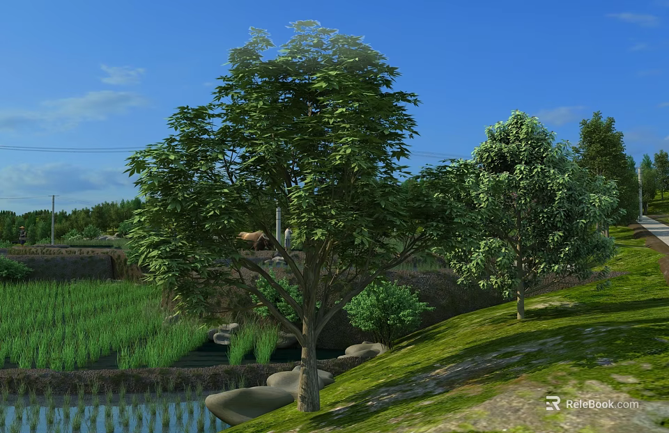 Rural Landscape With Green Rice Fields Tall Trees Small River And Lush Grass 3d model 