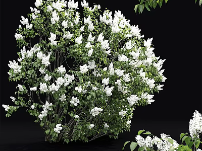 Natural Style Decorative Ornament Set With White Flowers And Green Leaves 3d model