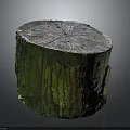 Natural Wooden Stump With Wood Stone Material Featuring Organic Grain And Green Moss Texture