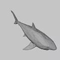 Low Poly Shark 3D Model Featuring Geometric Design And Open Mouth