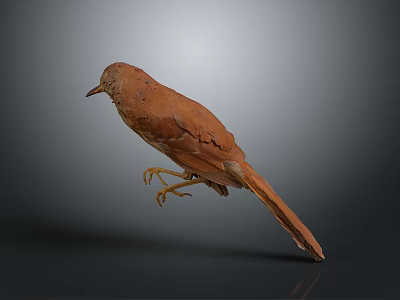 Brown Bird Standing On Smooth Surface With Gray Background Soft Lighting Focused On Feathered Creature 3d model