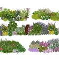Assorted Garden Flowers And Various Plants With Colorful Blooms And Lush Foliage