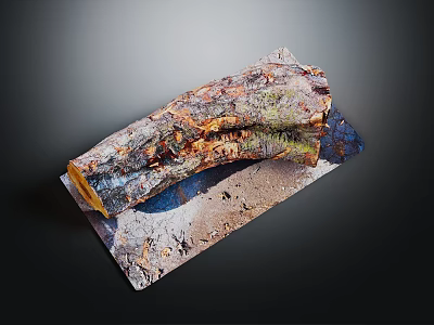 Natural Wood Log With Organic Texture On Rough Stone Slab Surface 3d model