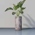 Potted Monstera Plant in Cylindrical Textured Gray Pot on Smooth Blue Tabletop with Light Wall