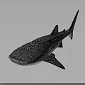 3D Whale Shark Model With White Spots Dark Body Side View On Gray Gradient Background 3d model
