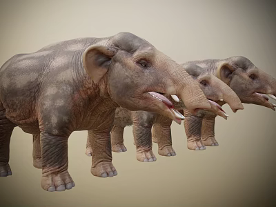Detailed Realistic Three Standing Elephants With Textured Skin And Open Mouths 3d model